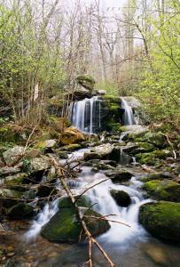 Apple Orchard falls, VA