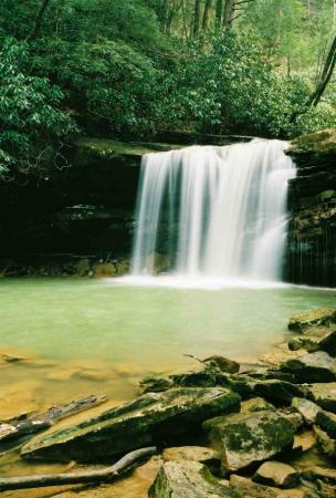 Marsh Falls, West Virginia 